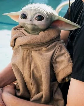 Grogu The Child